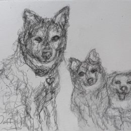 Custom 6x8 framed original scribbles 21